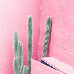 Meet your Posher, Patricia